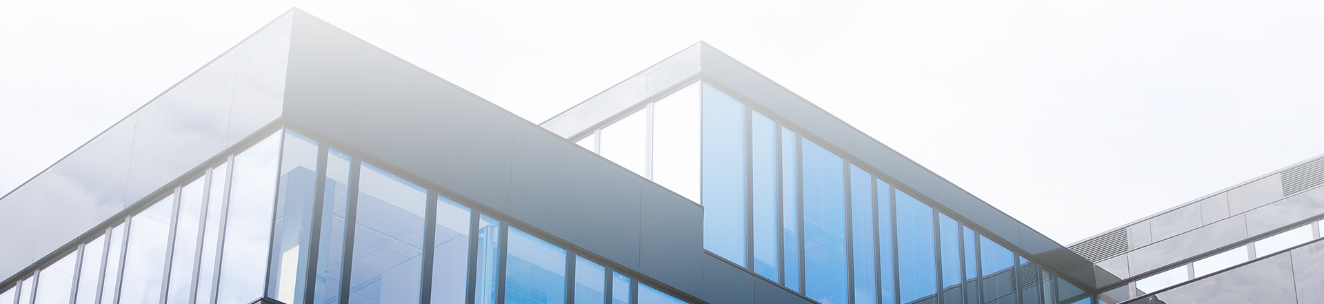 Company Building